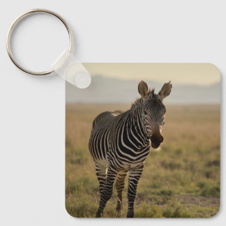 zebra cute sleutelhanger