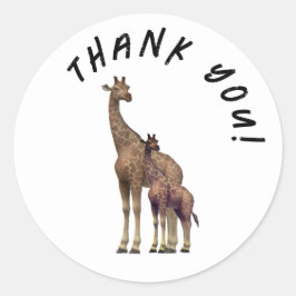 Zebra dank u Ronde Sticker