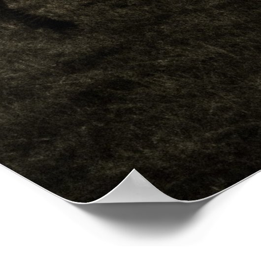 Zebra Dawn Poster (Hoek)