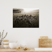 Zebra Dawn Poster (Keuken)