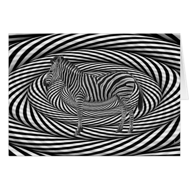 Zebra Dazzle (Voorkant Horizontaal)