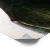 Zebra dicht bij en gestreept zwart-wit patroon poster (Hoek)