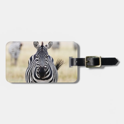 Zebra die naar je kijkt bagagelabel (Voorkant horizontaal)