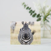 Zebra die naar je kijkt briefkaart (Staand voorkant)