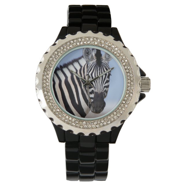 Zebra die naar je kijkt horloge (Voorkant)