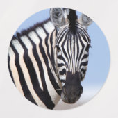 Zebra die naar je kijkt labels (Design 2)