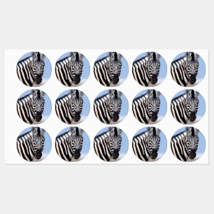 Zebra die naar je kijkt labels