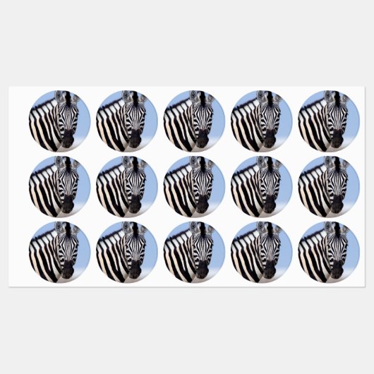 Zebra die naar je kijkt labels (Vel)