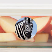 Zebra die naar je kijkt labels (Aangebracht)