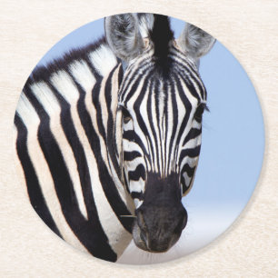 Zebra die naar je kijkt ronde kartonnen onderzetter