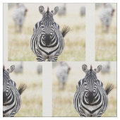 Zebra die naar je kijkt stof (Close Up)