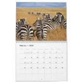 Zebra dierenkalender kalender (Feb 2026)
