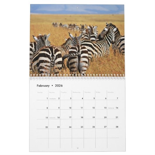 Zebra dierenkalender kalender (Feb 2026)