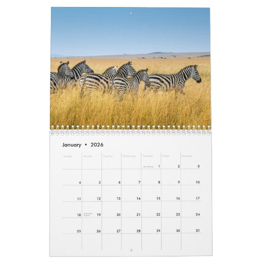 Zebra dierenkalender kalender (Jan 2026)
