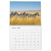 Zebra dierenkalender kalender (Jan 2027)