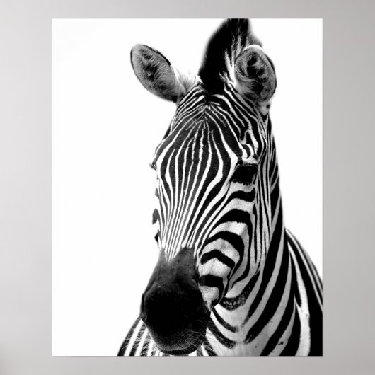 Zebra dierfoto van wild oerwoud zwart-wit poster (Voorkant)