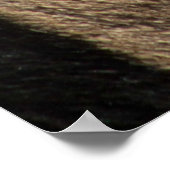 ZEBRA DIERLIJKE AFDRUKSTSTRIPE POSTER (Hoek)