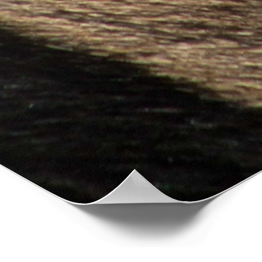 ZEBRA DIERLIJKE AFDRUKSTSTRIPE POSTER (Hoek)