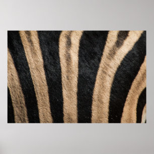 ZEBRA DIERLIJKE AFDRUKSTSTRIPE POSTER