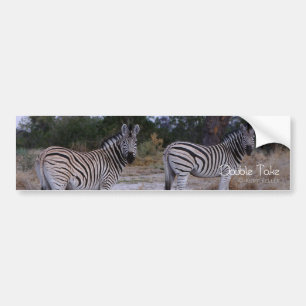 Zebra Double Take Photo Bumpersticker