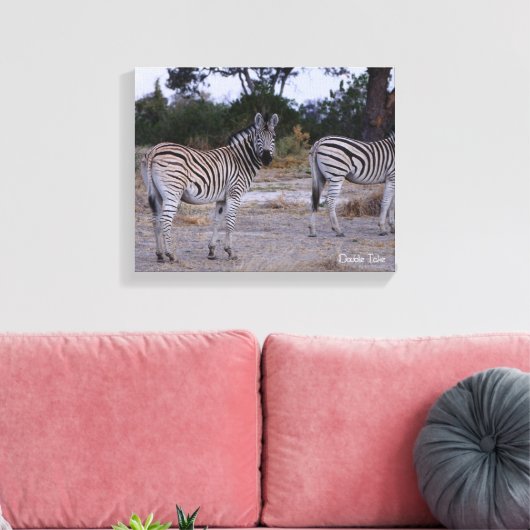 Zebra Double Take Photo Canvas Afdruk (Insitu (Woonkamer))