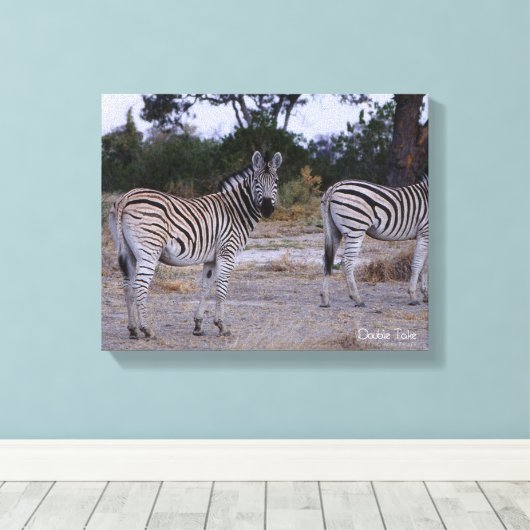 Zebra Double Take Photo Canvas Afdruk (Insitu (Houten vloer))