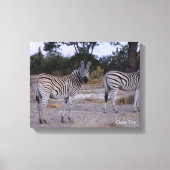 Zebra Double Take Photo Canvas Afdruk (Voorkant)