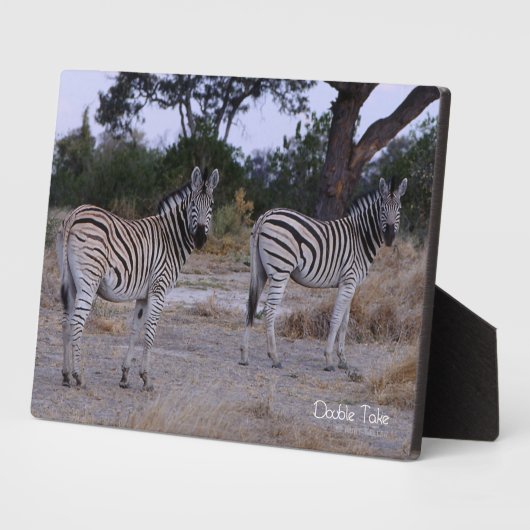 Zebra Double Take Photo Fotoplaat (Zijkant)