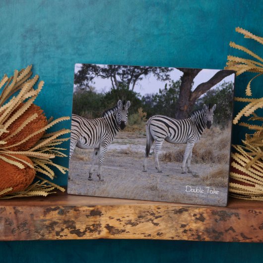 Zebra Double Take Photo Fotoplaat (Zijkant)