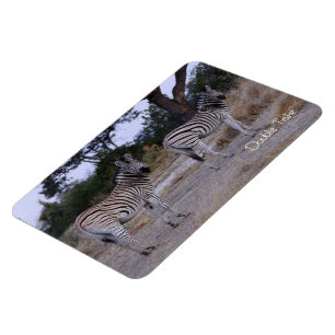 Zebra Double Take Photo Magneet