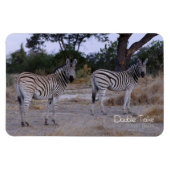 Zebra Double Take Photo Magneet (Horizontaal)