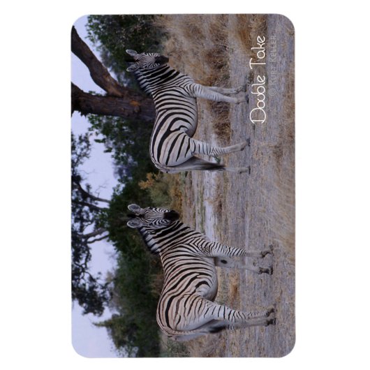 Zebra Double Take Photo Magneet (Verticaal)