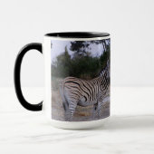 Zebra Double Take Photo Mok (Links)