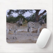 Zebra Double Take Photo Muismat (Met muis)