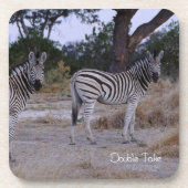 Zebra Double Take Photo Onderzetter (Voorkant)