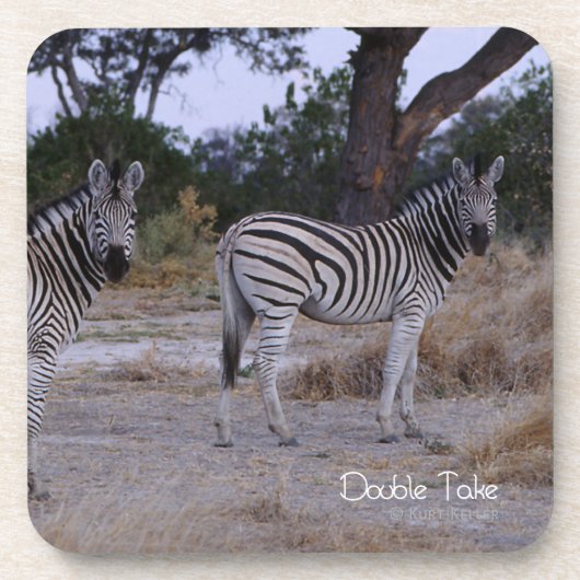 Zebra Double Take Photo Onderzetter (Voorkant)