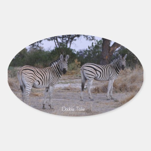 Zebra Double Take Photo Ovale Sticker (Voorkant)