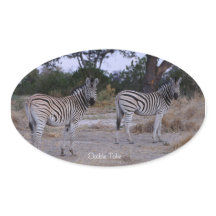 Zebra Double Take Photo