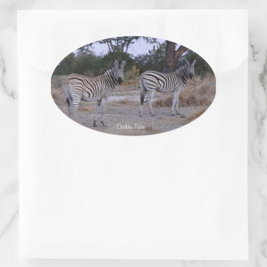 Zebra Double Take Photo Ovale Sticker (Tas)