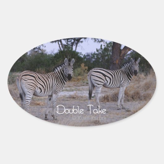 Zebra Double Take Photo Ovale Sticker (Voorkant)