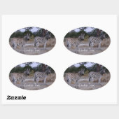 Zebra Double Take Photo Ovale Sticker (Vel)