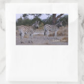 Zebra Double Take Photo Rechthoekige Sticker (Tas)