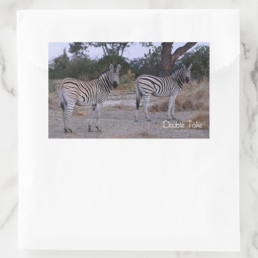 Zebra Double Take Photo Rechthoekige Sticker (Tas)