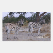 Zebra Double Take Photo Rechthoekige Sticker (Voorkant)