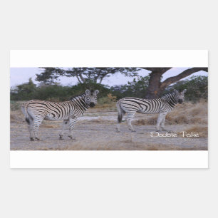 Zebra Double Take Photo Rechthoekige Sticker