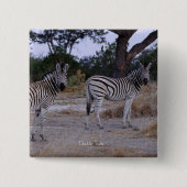 Zebra Double Take Photo Vierkante Button 5,1 Cm (Voorkant)