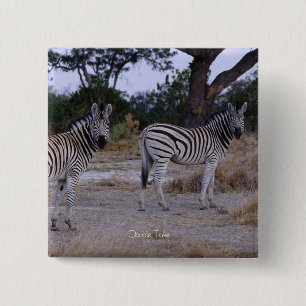 Zebra Double Take Photo Vierkante Button 5,1 Cm