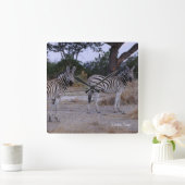 Zebra Double Take Photo Vierkante Klok (Huis)