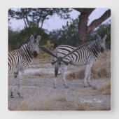 Zebra Double Take Photo Vierkante Klok (Voorkant)
