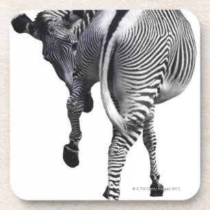 Zebra draaien drankjes onderzetter